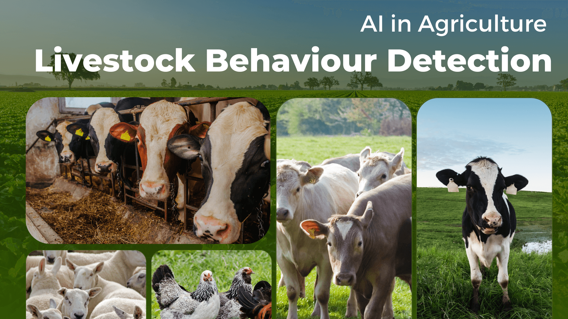 Presear Softwares collaborates in a Govt funded research project under MeiTY: Application of Visual AI in the field of Agriculture